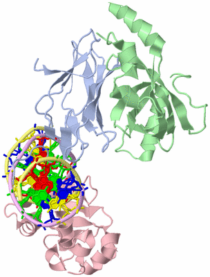 Image Biological Unit 1