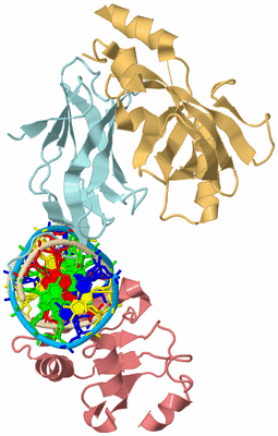 Image Biological Unit 2