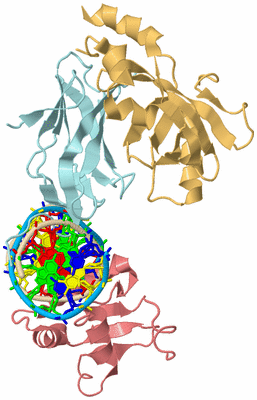 Image Biological Unit 2