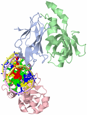 Image Biological Unit 1