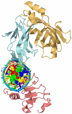 Image Biological Unit 2