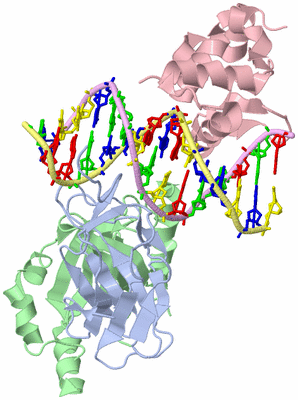 Image Biological Unit 1