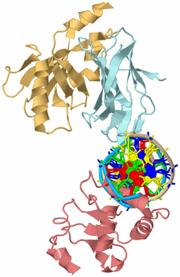 Image Biological Unit 2