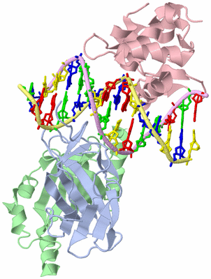 Image Biological Unit 1