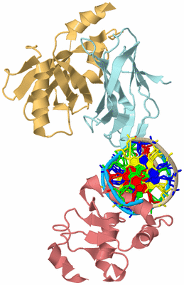 Image Biological Unit 2