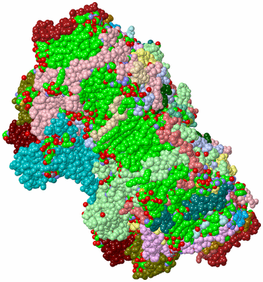 Image Asym./Biol. Unit - sites