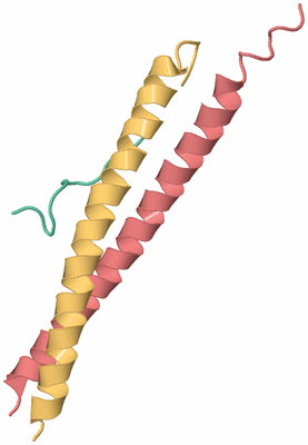 Image Biological Unit 3