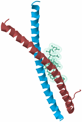 Image Biological Unit 4