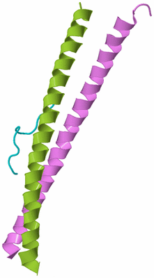 Image Biological Unit 5