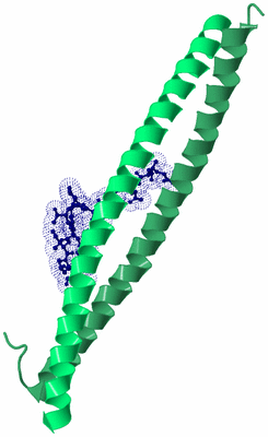 Image Biological Unit 6