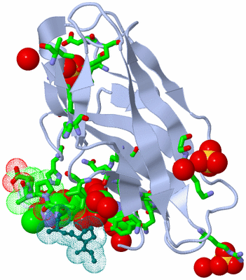 Image Biol. Unit 1 - sites