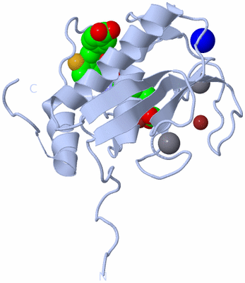 Image Biological Unit 1