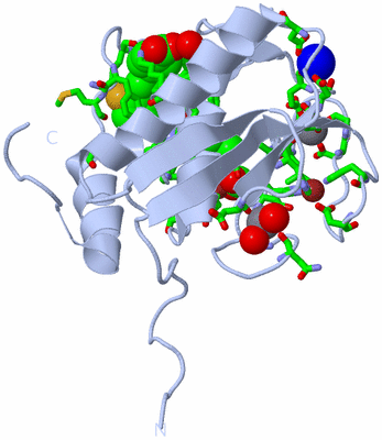 Image Biol. Unit 1 - sites