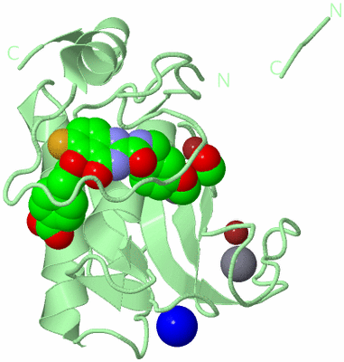 Image Biological Unit 2