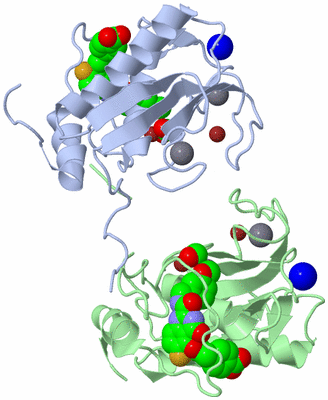 Image Biological Unit 3