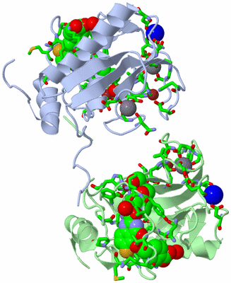 Image Asym. Unit - sites