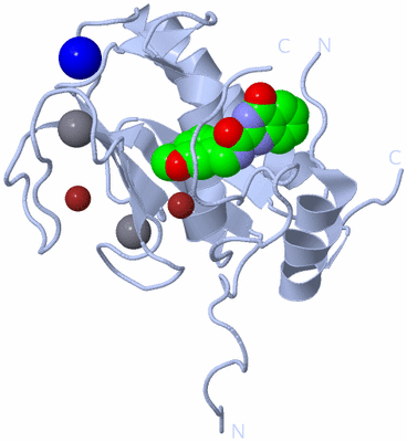 Image Biological Unit 1