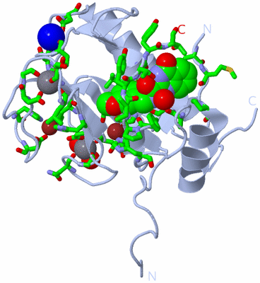 Image Biol. Unit 1 - sites