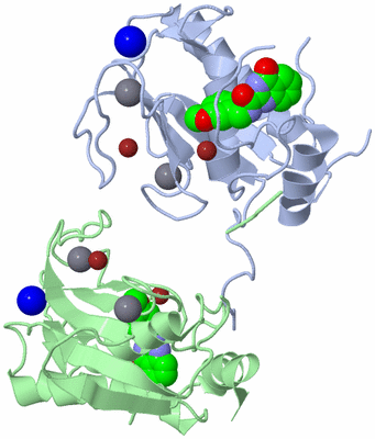 Image Biological Unit 3