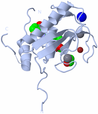 Image Biological Unit 1