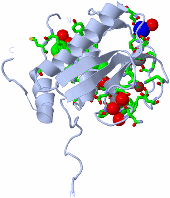 Image Biol. Unit 1 - sites