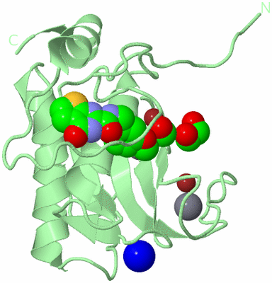 Image Biological Unit 2