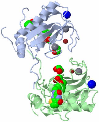 Image Biological Unit 3