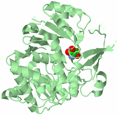 Image Biological Unit 2