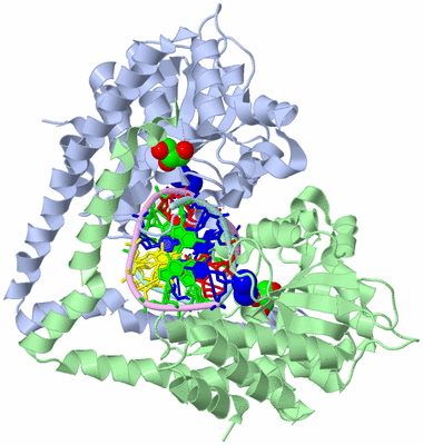 Image Biological Unit 1