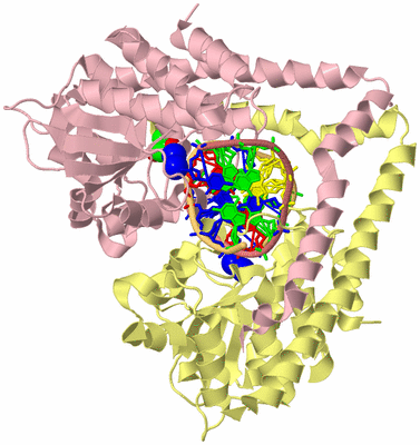 Image Biological Unit 2