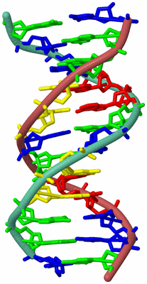 Image Biological Unit 3