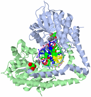 Image Biological Unit 1