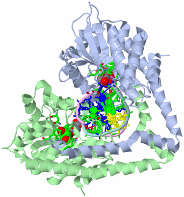 Image Biol. Unit 1 - sites