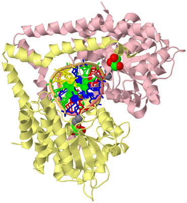 Image Biological Unit 2