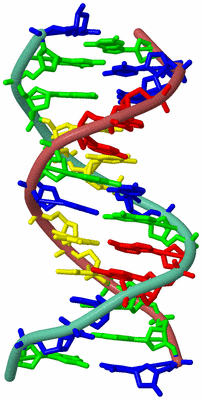 Image Biological Unit 4