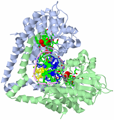 Image Biol. Unit 1 - sites