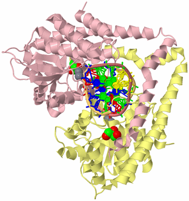 Image Biological Unit 2