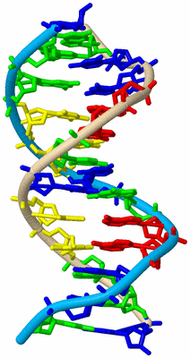 Image Biological Unit 4