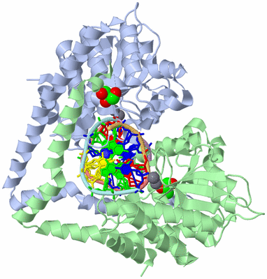 Image Biological Unit 1