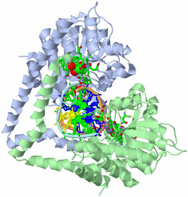 Image Biol. Unit 1 - sites