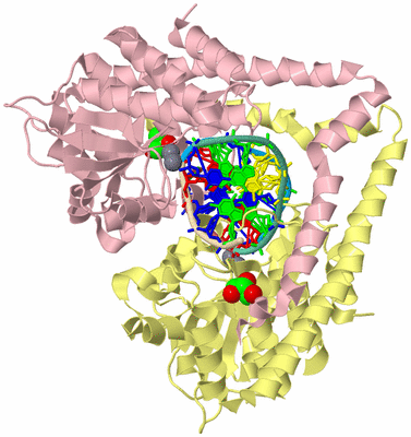 Image Biological Unit 2