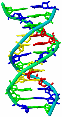 Image Biological Unit 4