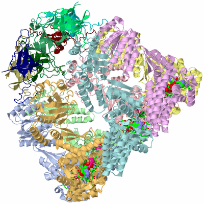 Image Biol. Unit 1 - sites