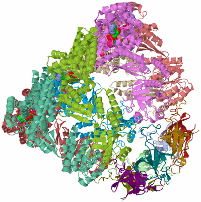 Image Biological Unit 2