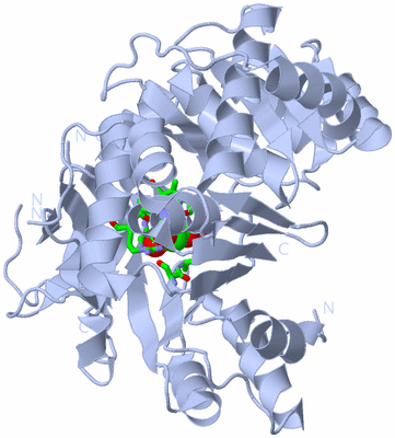 Image Biol. Unit 1 - sites