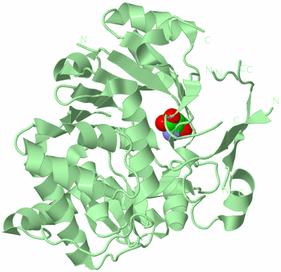 Image Biological Unit 2