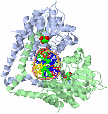 Image Biological Unit 1