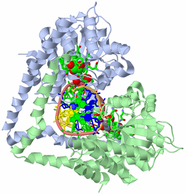 Image Biol. Unit 1 - sites