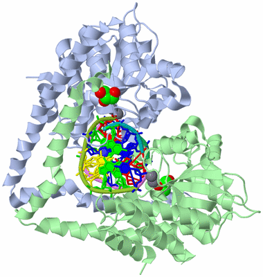 Image Biological Unit 2