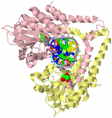 Image Biological Unit 3